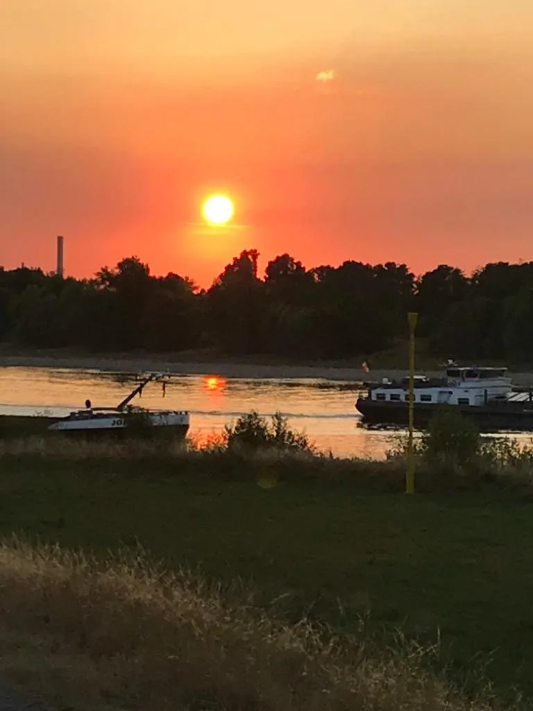 Sonnenuntergang über dem Rhein bei Stürzelberg